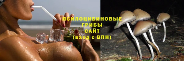 мяу мяу мука Балахна